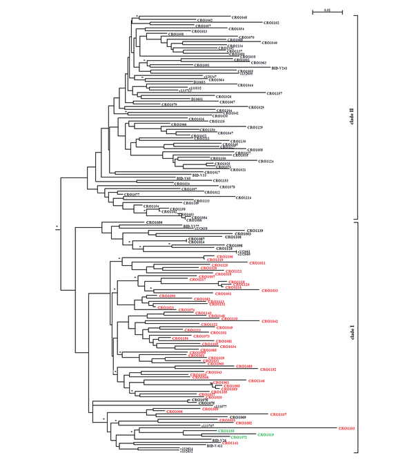 Phylogenetic Tree Showing Clear Separation of Sequences into 2 Clades. Sequences Without Q80K Substitution from the Croatian Cohort, Are Marked in Black and Sequences Carrying Q80L Substitution are Marked in Green. Sequences Carrying Q80K Substitution are Marked Red. Branches Having a Posterior Probability > 0.85 Are Labeled with Asterisks