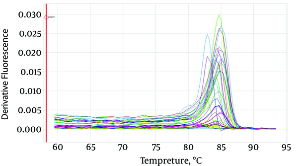 Melting Temperature Curve Analysis for 46 M. tuberculosis Patients by rpoB P1