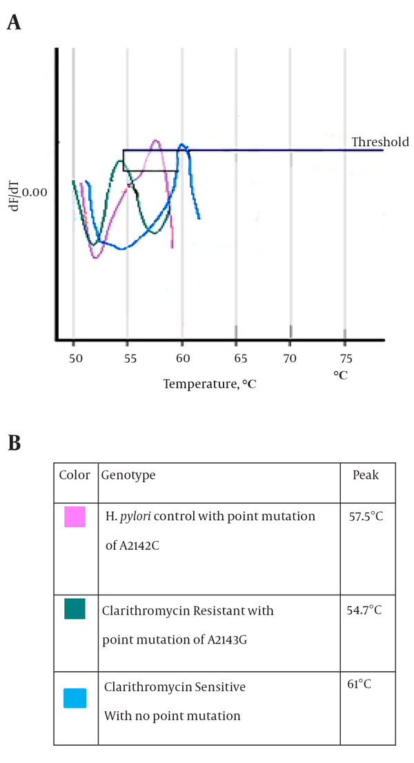 A, Melting Curve shows the different melting temperatures of the 267-bp amplicon of the 23SrRNAof the control, sensitiveandresistant isolates of H. pylori in this study; B, details of the diagram.
