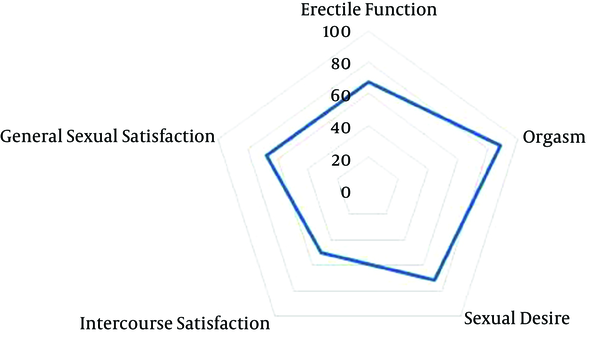 The Percentage of Male Sexual Function Scores, Differentiated by the 5 Dimensions of the IIEF Questionnaire