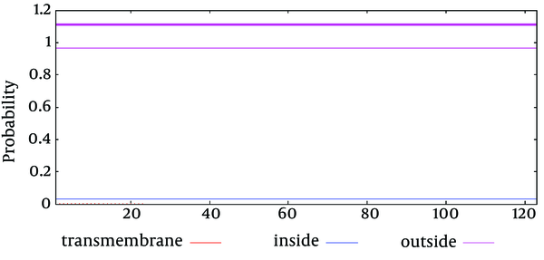 Graphical Representation of the Location of the SclA Protein