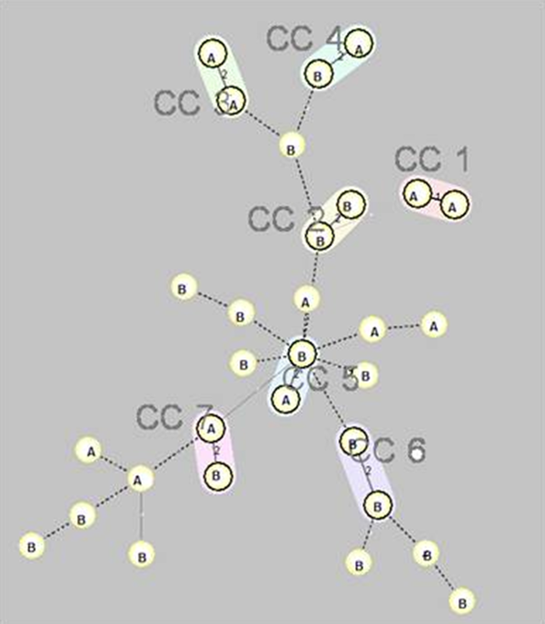 Minimum Spanning Tree Representation of the MLVA-8 Clustering of the 30XDR Isolates