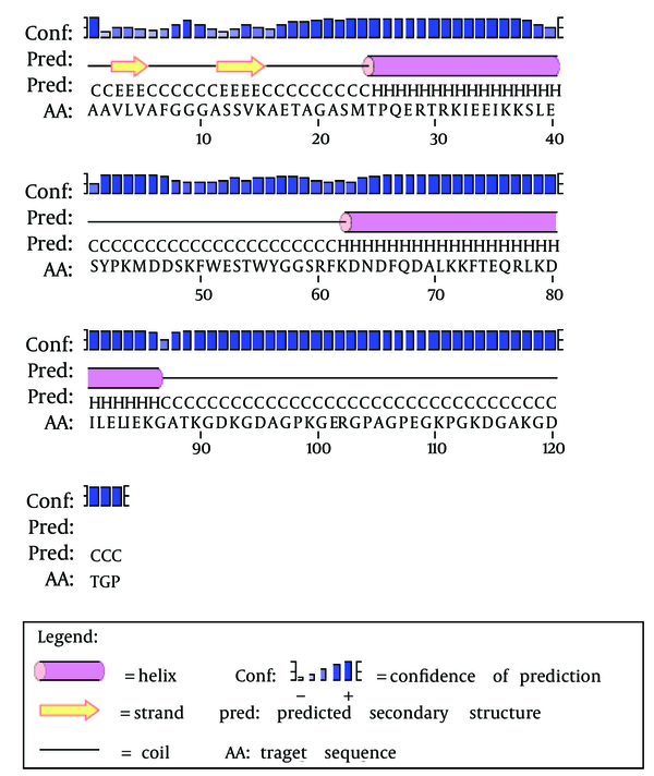 Secondary Structure Prediction of the SclA Protein of Streptococcus pyogenes using PSIPRED