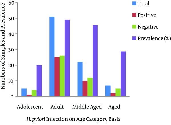 H. pylori Infections According to age Group