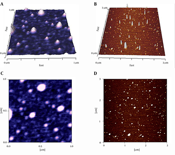 AFM Images of ABZ-SLN (A and C) and ABZSO-SLN (B and D) Formulations