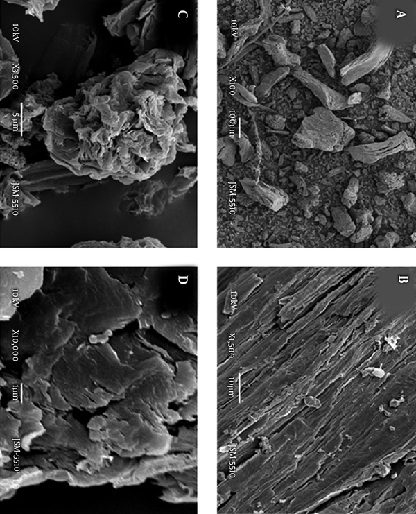 SEM Pictures of Ag/RGO at Different Magnifications: A, 100x; B, 1500x; (c) –C, 3500x and D, 10000x