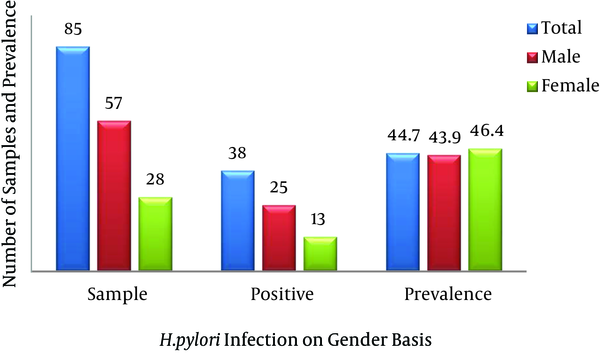 H. pylori Infections According to Gender