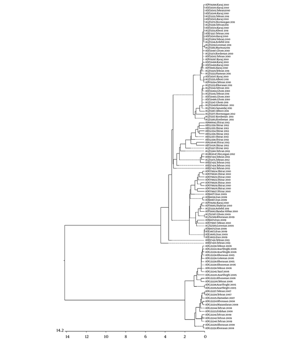 Evolutionary relationships of individual coding regions from influenza A viruses sampled in Iran during 2006 to 2013. Length of each branch pair represents the evolutionary distance between sequence pairs. Scale indicates the number of substitution. MegalignTM constructed phylogram (DNAStar, Madison, WI).