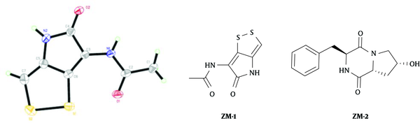 X -Ray Crystal Structure and Chemical Structure of the Compound ZM-1 and ZM-2