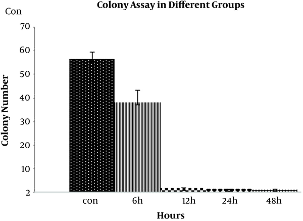 The graph shows the colonies during 1 week in control and experimental groups. Digoxin dramatically attenuated colony formation especially after 12, 24 and 48 hour.
