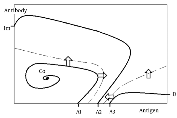 Mod. according to Mayer et al. (4). Depending on the initial conditions (viral load, A1, A2, A3) and the given reaction parameters the immune reaction is leading to immunity (Im), to death (D) or to coexistence (Co) of virus and antibodies with different shapes of the attractors (4).