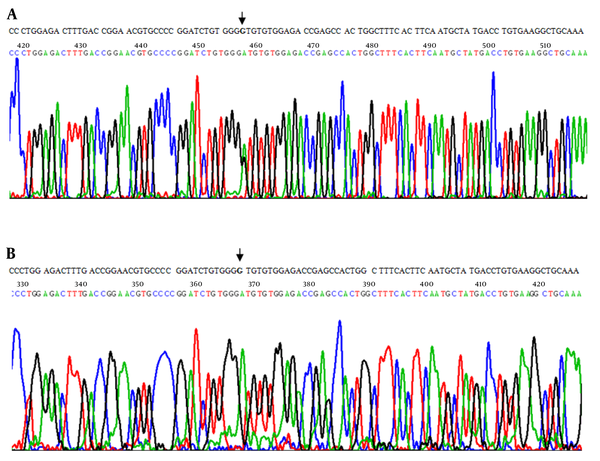 Sequence Data of the Amplified VDR Gene; Exon 4