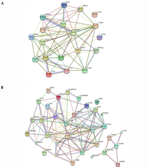 A, Association network of gene sumset in common up-regulated pathways; B, Association network of gene sumset in common down-regulated pathways.
