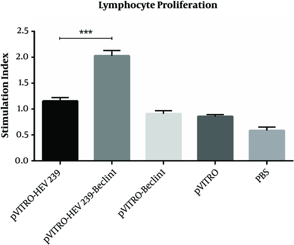 Two weeks after final immunization, spleens of individual mice were removed and lymphocyte proliferation was evaluated by cell proliferation ELISA, BrdU kit. Values are the mean ± standard error for the experiments. The results indicate statistically significant difference between the pVITRO-HEV239- Beclin-1 group as determined by one-way ANOVA (P &lt; 0.001) with other groups (*, ** and *** indicate P &lt; 0.05, P &lt; 0.01 and P &lt; 0.001 respectively).