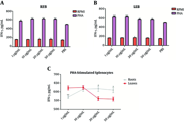 The Splenocytes were cultured for 72 hours with or without PHA and treated with different concentrations of REB or LEB. The levels of IFN-γ in the supernatant of cultured splenocytes were measured by sandwich ELISA. (A) REB significantly increased IFN-γ levels in the unstimulated (20 and 50 µg/mL, *P &lt; 0.05) and PHA-stimulated (1 - 50 µg/mL, **P &lt; 0.01) splenocytes. (B) LEB significantly increased IFN-γ levels in the unstimulated (20 µg/mL, *P &lt; 0.05) and PHA-stimulated (1 - 50 µg/mL, **P &lt; 0.01) splenocytes. (C) In comparison between REB and LEB, LEB at low concentration (1 µg/mL) and REB at high concentrations (20 and 50 µg/mL) were more effective in stimulating the production of IFN-γ from PHA-stimulated-splenocytes. *P &lt; 0.05, P &lt; 0.01 and ***P &lt; 0.001. Results are expressed as mean ± SEM of five independent experiments. REB, Roots Extract of Burdock; LEB, Leaves Extract of Burdock.