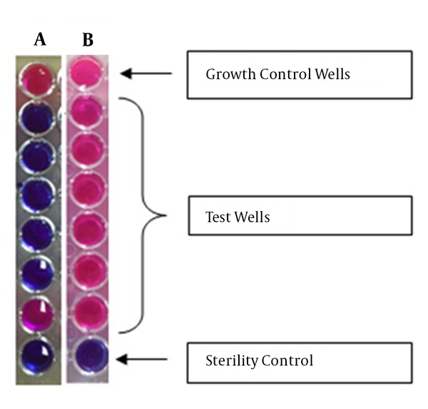 Images of the wells from 2 investigated assays are shown. A, the results indicated the MIC of 2 µg/mL for cefoxitin; B, The results indicated the MIC of &gt; 32 µg/mL for cefoxitin. The top wells in A and B are the growth control wells with no cefoxitin and the bottom well contained no bacteria. Red color indicates bacterial growth, while blue color indicates no bacterial growth. Concentrations of cefoxitin (from top to bottom, excluding control wells) were 32, 16, 8, 4, 2, and 1 µg/mL, respectively.