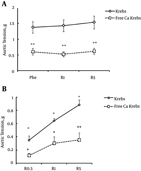 The effect of free Ca+2 -Krebs on contractile responses to phenylephrine (Phe) following madder (a) and madder alone (b). (R - 0.1 to 5) represent madder concentrations from 0.1 to 5 mg/mL. a: (**) P &lt; 0.001 indicates the significant value of intact aorta tension in Krebs with Ca+2 versus Ca+2 free- Krebs. b: (*) P &lt; 0.01 indicates the significant value of the effect of different concentrations of madder on intact aorta tension in Krebs with Ca+2. (++) P &lt; 0.01 and (+) P &lt; 0.05 indicate the significant value of intact aorta tension in Krebs with Ca+2 versus Krebs free of Ca+2 in response to madder.