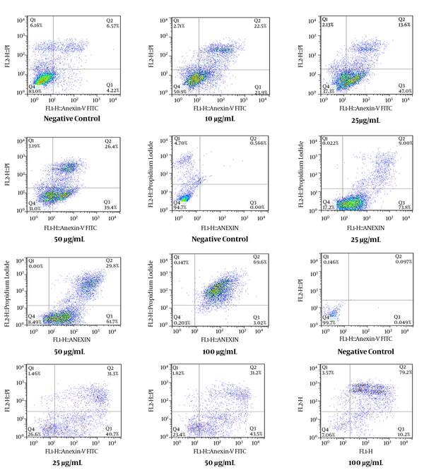 Flow Cytometry Dot Plots Representing the Apoptosis-Inducing Effect of E. microciadia on HeLa Cells (A), E. heteradenia on K562 Cells (B), and E. osyridea on Fen Cells (C); Cells were treated with various concentrations of the extract for 24 hours and, then, annexin V/propidium iodide (PI) staining using flow cytometry was performed. Cisplatin was used as positive control and DMSO as negative control. The total of early (lower right) and late (upper right) apoptosis was considered the percentage of apoptosis.
