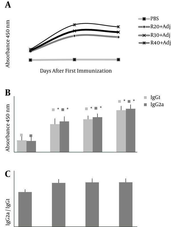 IgG total, IgG1 and IgG2a titers (O.D. absorbance 450 nm) against rTF/Bp26/Omp31 in BALB/c mice on day 14, 28, and 45 after first immunization. Vaccination of mice was carried out 3 times with 20, 30, and 40 µg of rTF/Bp26/Omp31 and Freund’s adjuvants (R-20, R-30 and R-40, respectively) on days 0, 14, 28. A, There is no significant increase among IgG titer on day 28 and 45 in experimental groups (P &gt; 0.05) versus on day 14 and 28 after injection with an increase of IgG titers (P &lt; 0.05); B, furthermore, IgG1 and IgG2a titers in experimental groups compared with negative groups-PBS were significantly increased (P &lt; 0.05); C, IgG2a/IgG1 ratio (equal to 1, approximately) in immunized mice indicates the shift to cell-mediated immunity. Antibodies titers were determined in ELISA. The animals of the negative control group were administered with PBS; *P value &lt; 0.05.