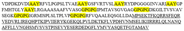 Structure of Amino Acid Sequence of Final Construct. MHC Class I and II Epitopes of Antigens Which Joined Together by Appropriate Linkers Indicating the Position of Epitopes. AAY Linkers Was Applied to Fuse MHC Class I-Restricted Epitopes, GPGPG Linkers Was Utilized to Link MHC Class II-Restricted Epitopes and LC3 Directly Fused to MHC Class II-Restricted Epitopes. Linkers Showed With Highlight and LC3 Showed with Underlined Sequence