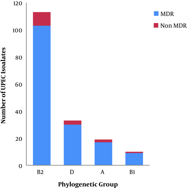 The Number of Multi-Drug Resistant (MDR) and Non-MDR Uropathogenic Escherichia coli in the Different Phylogenetic Groups