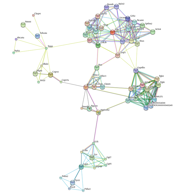 Network Constriction From 6 Identified Proteins in the String Database