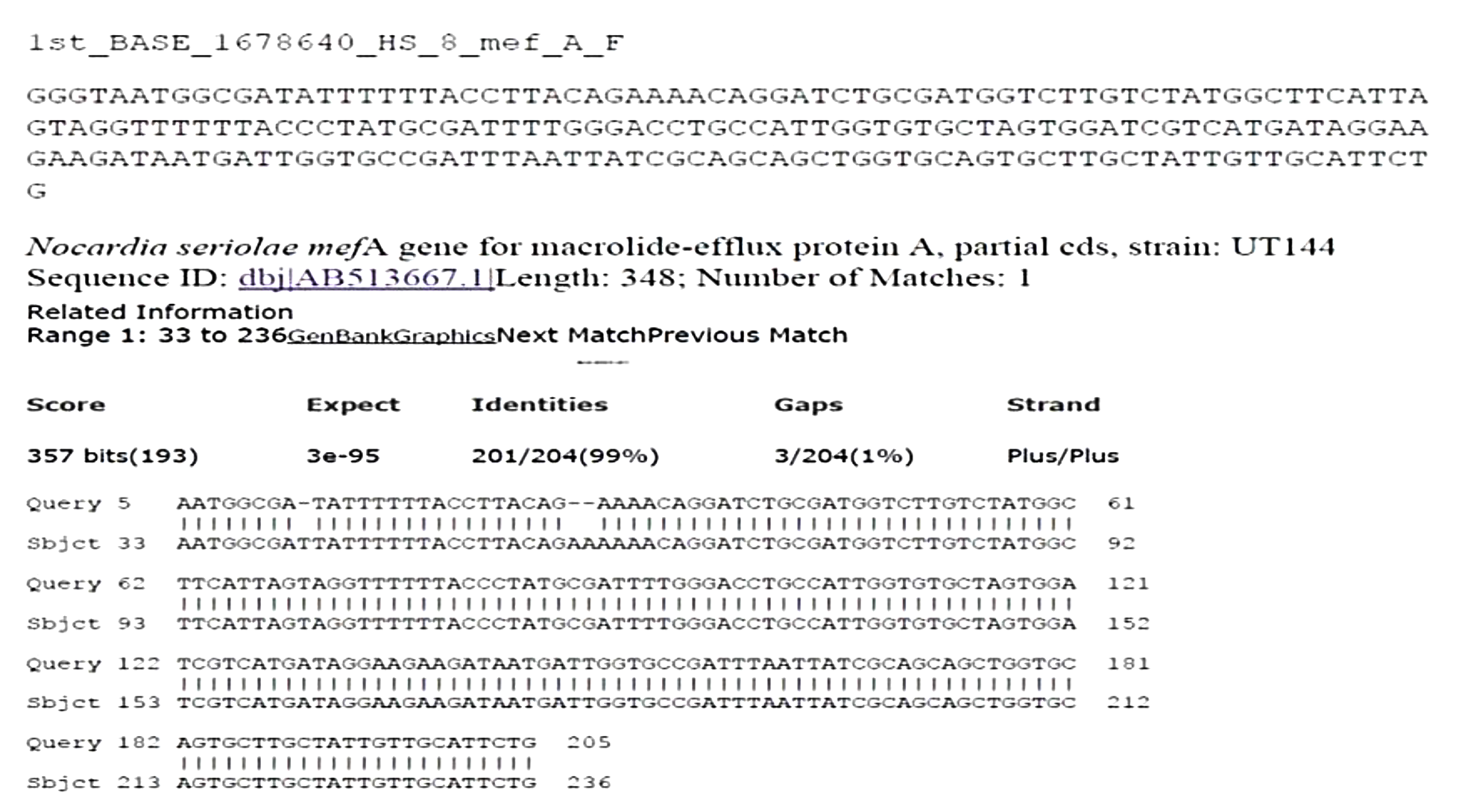 GenBank sequence result of mefA with 99% homology