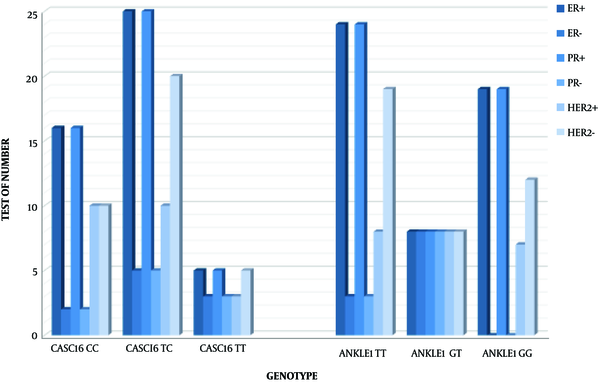 Column Chart Test Immunohistochemically Tumor; genotypes were highest positive in, HER2+, ER+ and PR+ tumor.
