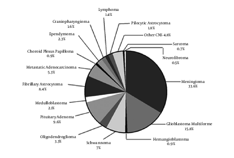 Brain and CNS tumors distribution by histology