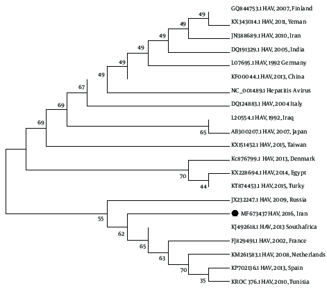 Neighbor-joining phylogenetic tree of HAV VP1-2A regions. The sequence from this study is marked and all sequences are defined by accession number / year/origin of the strain, respectively.