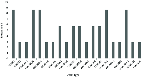 Distribution of emm types and subtypes among 35 Streptococcus pyogenes recovered from clinical samples