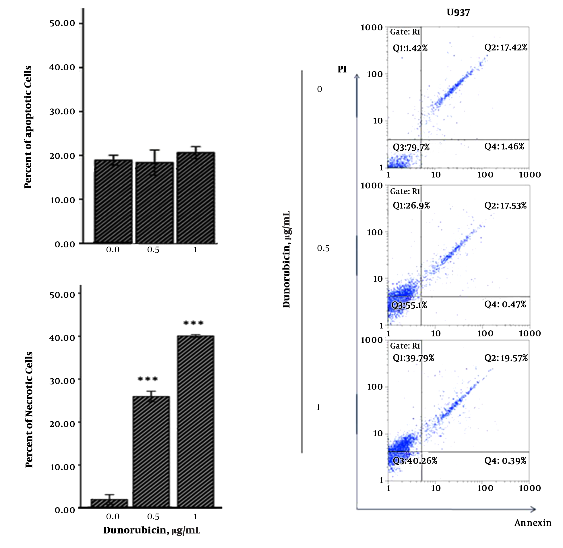 The performance of the Annexin - V/PI staining displayed that DNR - induced death in cells was a dose-dependent and necrotic manner. The graphs represent 3 independent experiments (mean ± SD). *P < 0.05, **P < 0.01, ***P < 0.001 (compared with control or comparisons depicted).