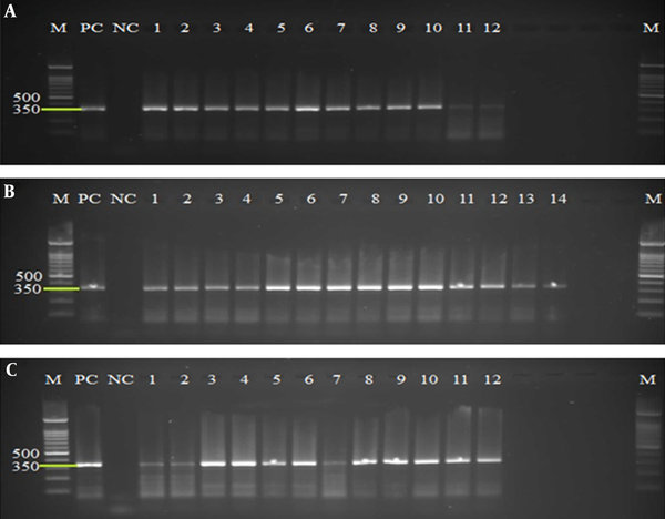 A, PCR products of extracted DNA using QIAamp DNA stool mini kit protocol. B, PCR products of extracted DNA using the phenol/chloroform/Isoamyl alcohol protocol. C, PCR products of extracted DNA using the YTA Stool DNA Isolation mini Kit. Lines M, 100 bp molecular Marker (Cynagene, Iran); PC, Positive Control; NC, Negative Control; lines 1 - 14: Positive samples.