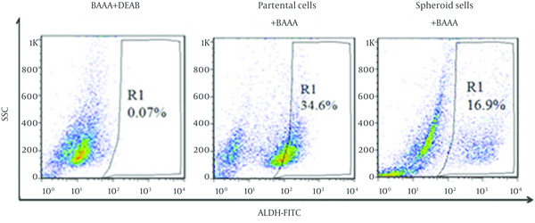 Representative Flow Cytometry Plots for the Analysis of ALDH Enzymatic Activity in Spheroid and Parental Cells in the Presence of ALDH Substrate (BAAA) (Left and Middle Plots, Respectively) and in the Parental Cells in the Presence of ALDH Enzyme Inhibitor Diethylaminobenzaldehyde (DEAB) (Right Plot)
