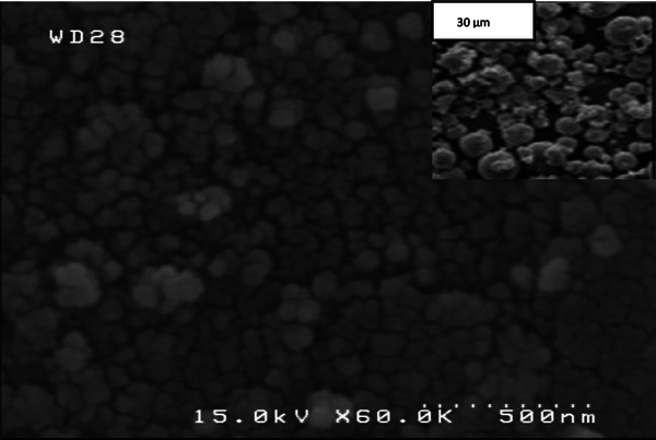 The SEM Image of SnO2 Nanoparticles