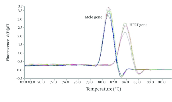 Melting Curve Analysis of the Mcl-1 and HPRT Genes