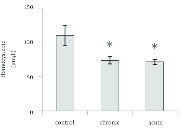 Effect of acute and chronic exposure to ethanol on brain Hcy on the 15th day of embryonic stage. *Significant difference relative to control (p