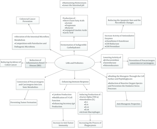 Main Mechanisms of Lactic Acid Bacteria (LABs) and Probiotics Action in Prevention of Cancer