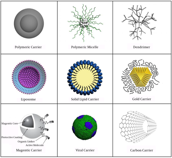 Different Types of Nanocarriers Have Used for Drug Delivery