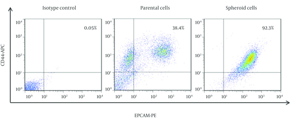 Representative scattered plots of flow cytometry analyses have been showing CD44 and EPCAM positive cells in spheroid and parental cells.