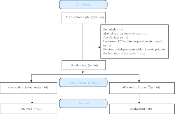 Consort Flow Diagram of Patient Recruitment and Study Completion