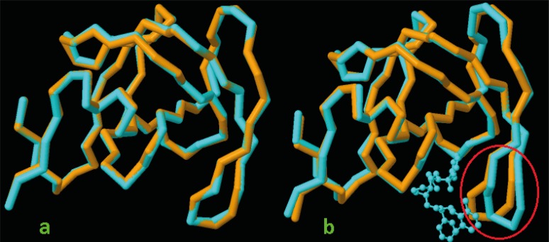 3D schematic representation of pair wise structure alignment between apo HIV-1 PR conformation (3IXO: orange stick) and a) 1HPV (RMSD=0.38 Ǻ) designated by blue stick, b) 1XL2 (RMSD=0.87 Ǻ) designated by blue stick containing a cognate ligand i.e., N-benzyl-2-(2,6-dimethylphenoxy)-N-[((3R,4S)-4 {[isobutyl(phenylsulfonyl) amino] methyl} pyrrolidin-3-yl)methyl] acetamide, the most distorted residues are highlighted by red circle in 1XL2