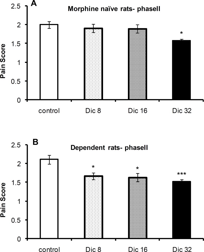 Pain scores during phase II of the formalin test in morphine-naïve (A) and morphine-dependent (B) groups. The data are expressed as the mean±SEM