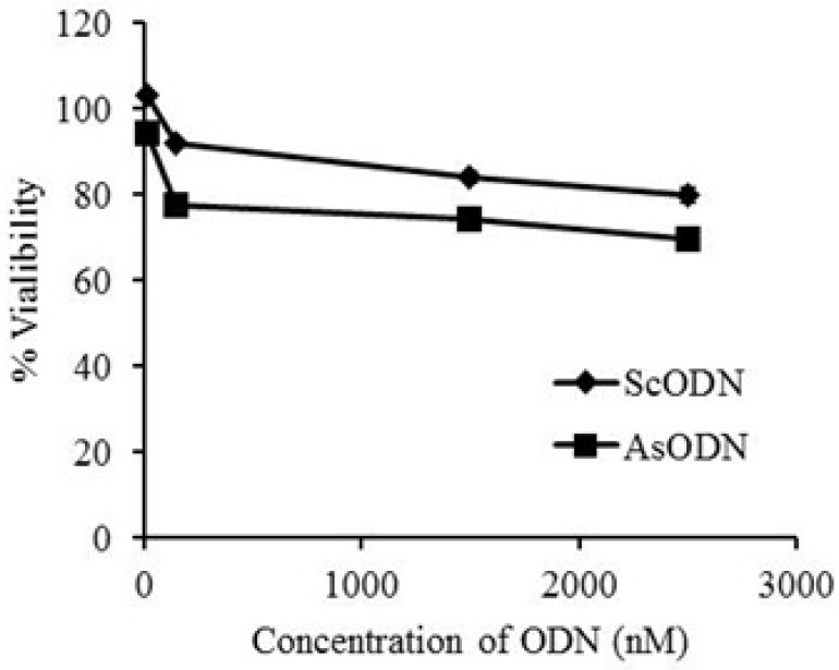 Antiproliferative effect of liposomal antisense oligonucleotide (AsODN) in comparison to its scrambeled control (ScODN) at different concentrations after 48 hours exposure time evaluated by MTT assay. Data are mean (n = 6