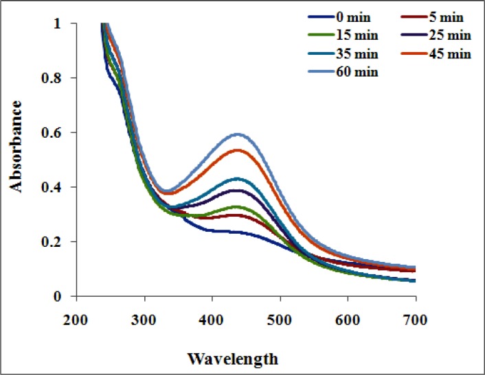 UV–visible spectrum of biosynthesized AgNPs showed peak at 435 nm