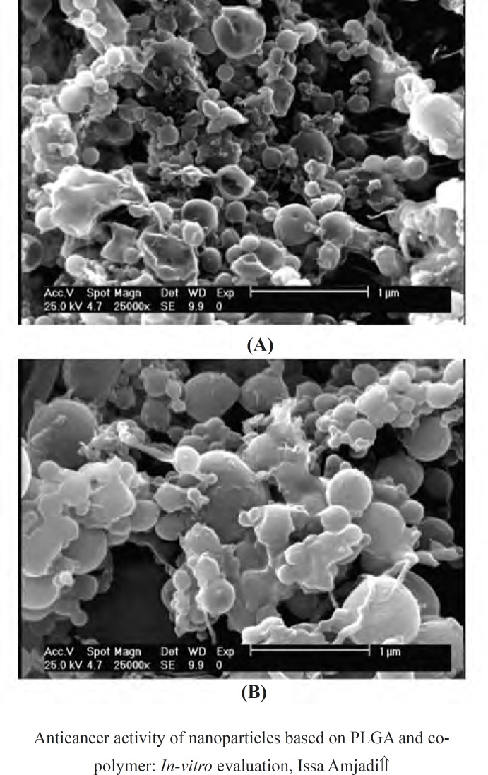 SEM micrographs of (a) Dox-loaded PLGA 50:50 and (b) Dox loaded-PLGA 75:25