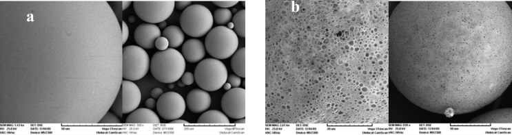 Scanning electron micrographs of PLGA microspheres prepared: (a) with NaCl, and (b) without 5% NaCl in the external aqueous phase