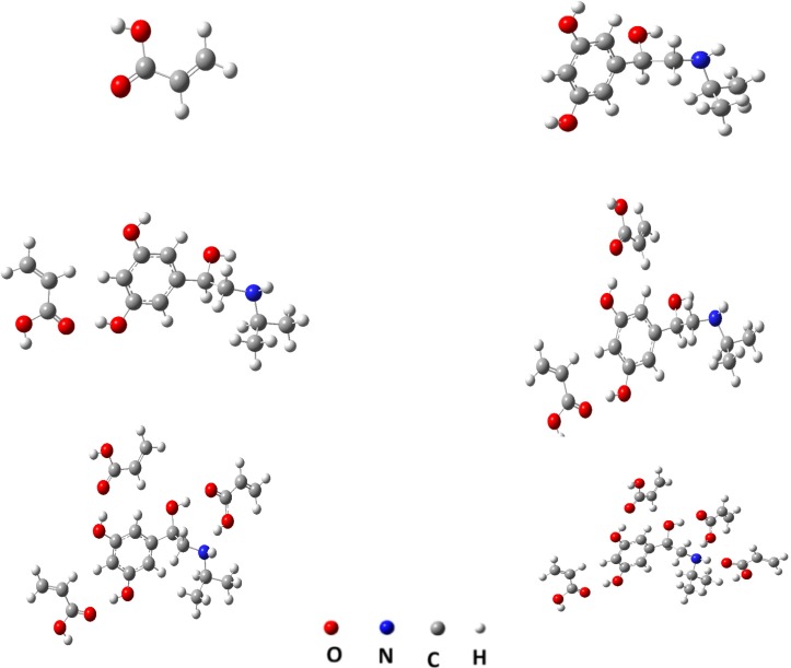 Computationally derived structures of AA, MTP and 1:1, 1:2, 1:3 and 1:4 complexes of MTP with AA using DFT method at B3LYP/6-31G(d,p) level