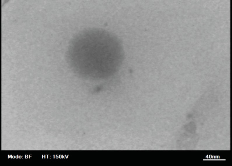 Transmission electron microscopy image of a rapamycin containing nanoemulsion