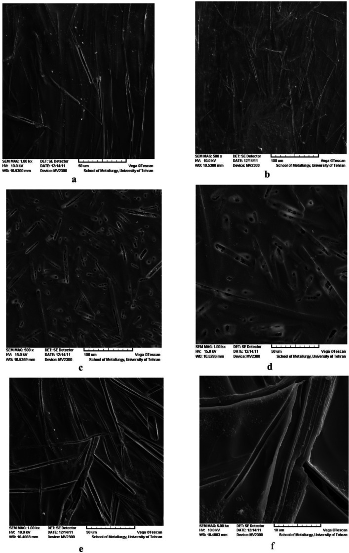 SEM images of the drug containing hydrogel films PVA-E: (a) 1000X, (b) 500X, PVA-S-E: (c) 5000X, (d) 1000X and PVA-H-E: (e)1000X, (f) 500X